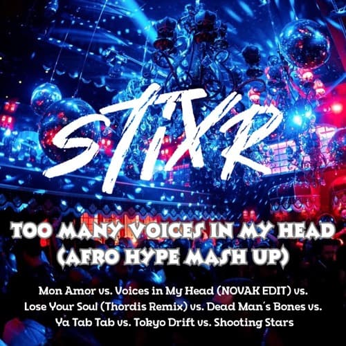 Too Many Voices in My Head (STIXR AFRO MELODIC MASH UP)