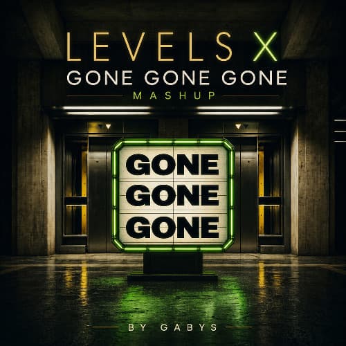 Levels x Gone Gone Gone (Mashup & Remix EXT. GABYS)